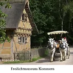 Gross A * Schleiden