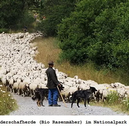 Διαμέρισμα Gross A Schleiden