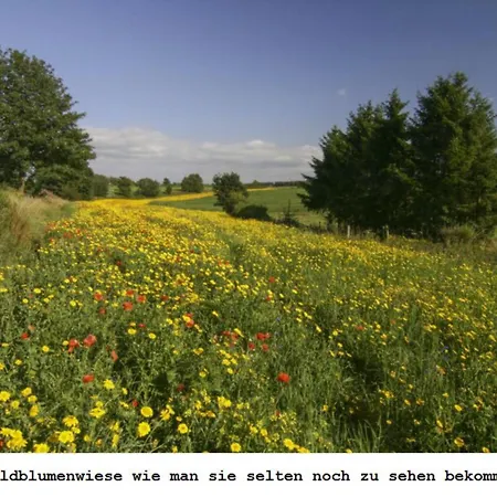 Διαμέρισμα Gross A