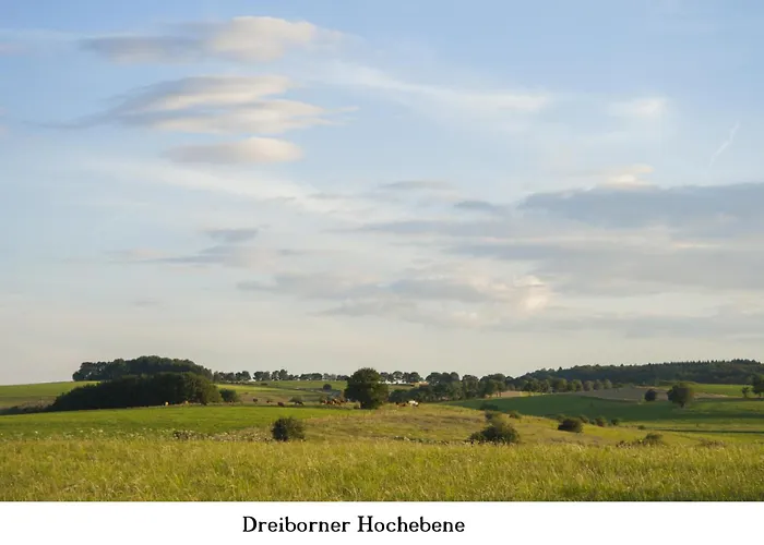 Daire Gross A Schleiden